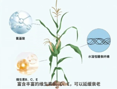 微信图片_2026-08-28_160635_373 微信图片_2026-08-28_160635_373