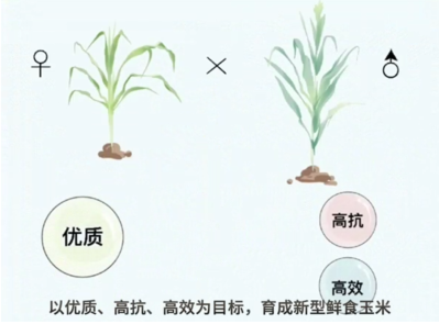 微信图片_2026-08-28_160644_290 微信图片_2026-08-28_160644_290