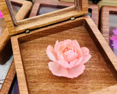 微信图片_2026-04-16_144950_974