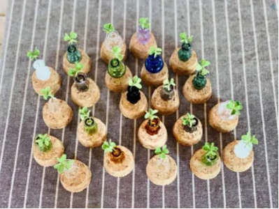 微信图片_2026-04-16_144953_222