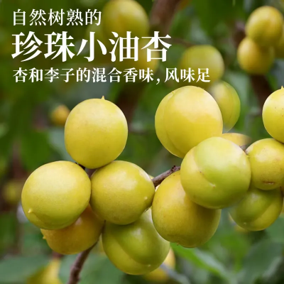 微信图片_2026-06-22_102143_766
