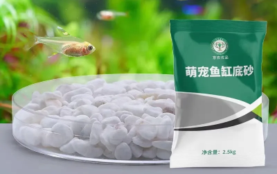 微信图片_2026-07-31_101842_543