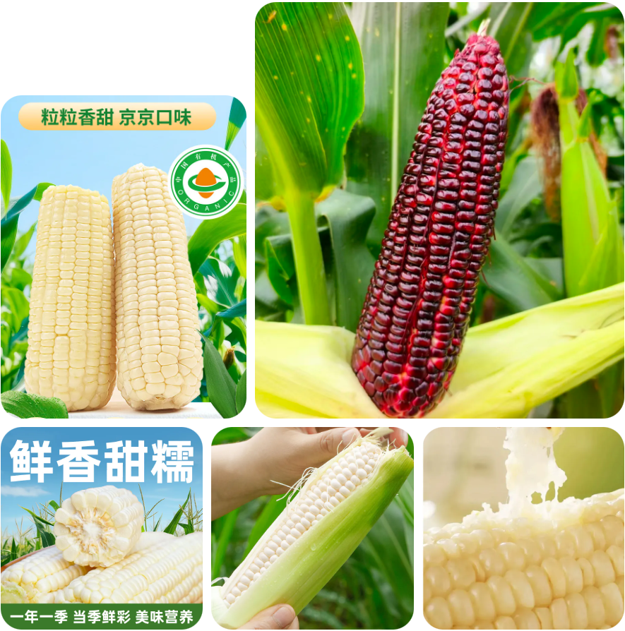 微信图片_2026-08-21_180326_249 微信图片_2026-08-21_180326_249