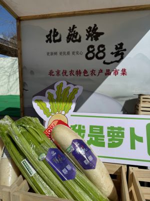 微信图片_20250322111329