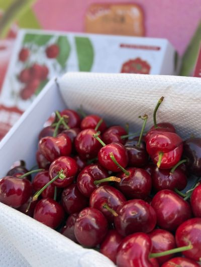 微信图片_20250322110449