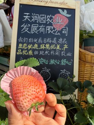 微信图片_20250322110431