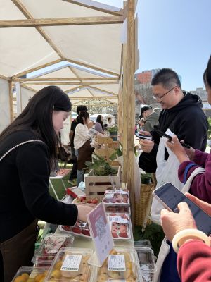 微信图片_20250322110657_副本