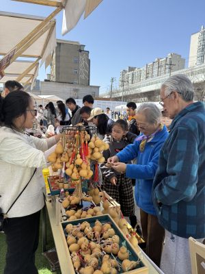 微信图片_20250322110601_副本