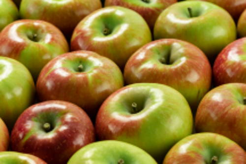 微信图片_2025-11-04_163842_380