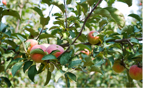 微信图片_2025-11-04_163845_027