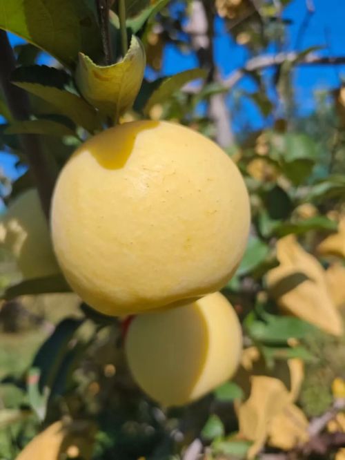 微信图片_2025-11-04_163858_364