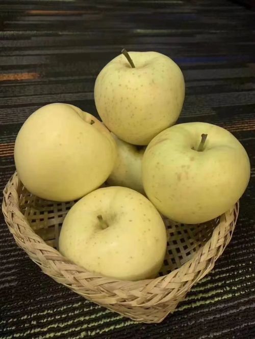 微信图片_2025-11-04_163901_908