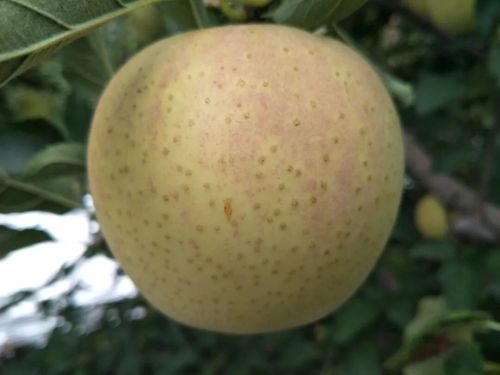 微信图片_2025-11-04_163907_435