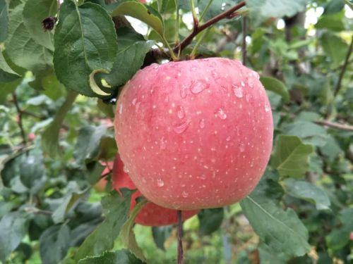 微信图片_2025-11-04_163905_140