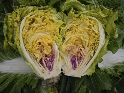 微信图片_2025-11-04_163922_508