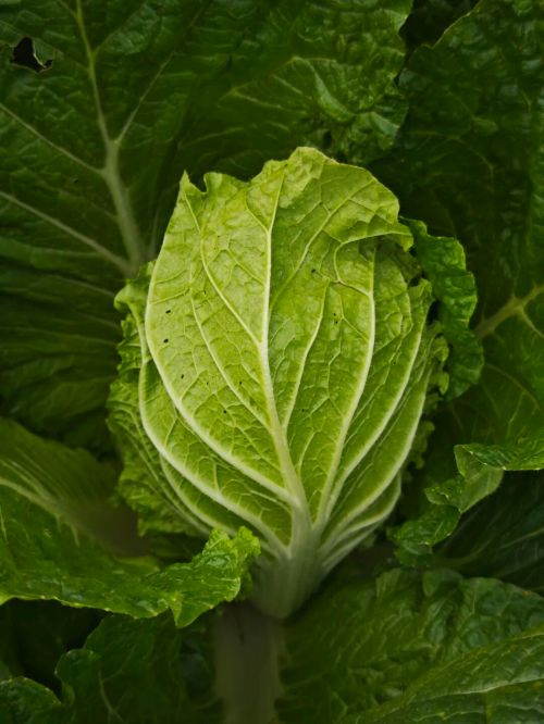 微信图片_2025-11-04_163920_212