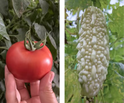 微信图片_2025-11-04_171510_316