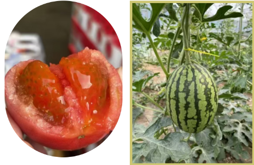 微信图片_2025-11-04_171515_876