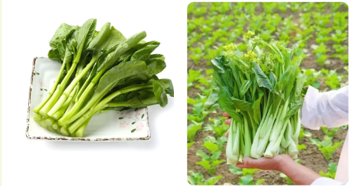 微信图片_2025-11-04_171517_755