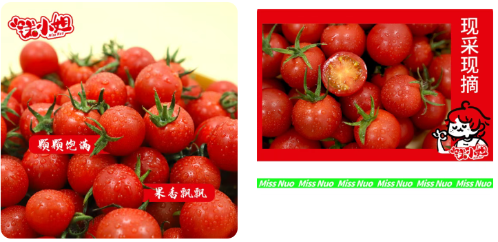 微信图片_2025-11-04_171519_652