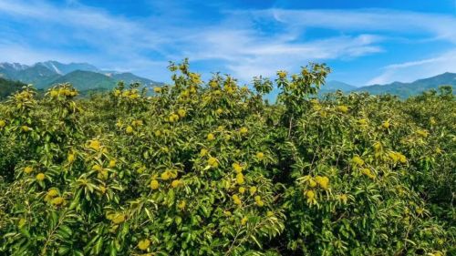 微信图片_2025-11-04_173303_332