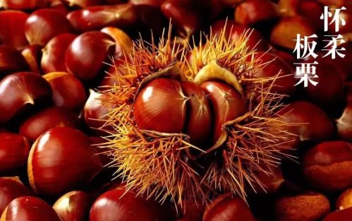 微信图片_2025-11-04_173436_427