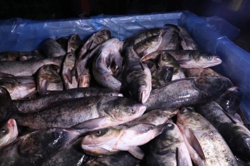 微信图片_2025-11-04_174317_796