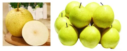 微信图片_2025-11-04_175301_412