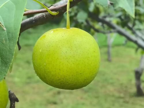 微信图片_2025-11-04_175253_460