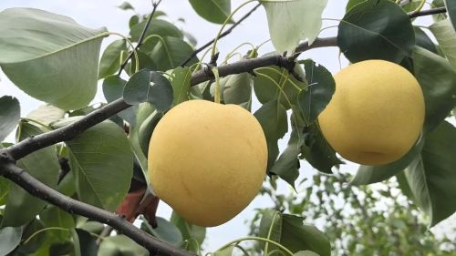 微信图片_2025-11-04_175303_516