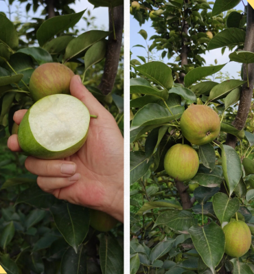 微信图片_2025-11-04_175420_947