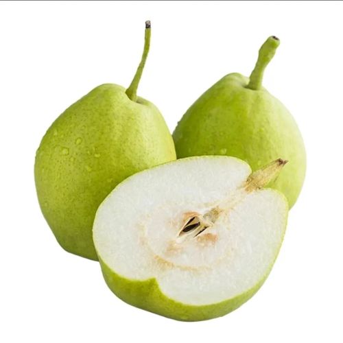 微信图片_2025-11-04_175305_475