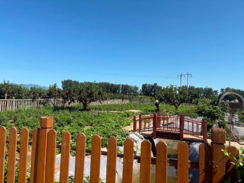 微信图片_2025-11-04_175307_548