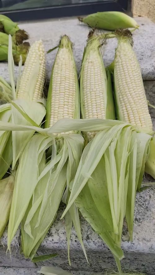 微信图片_2025-11-05_111707_756