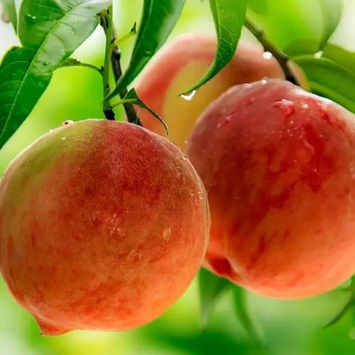 微信图片_2025-11-05_111712_876