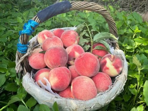 微信图片_2025-11-05_111737_579