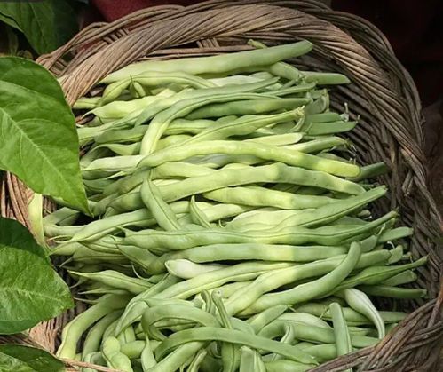 微信图片_2025-11-05_111742_363