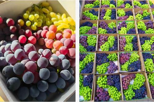 微信图片_2025-11-05_111755_107