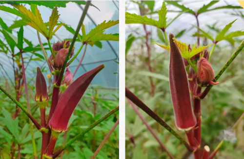 微信图片_2025-11-05_111818_475