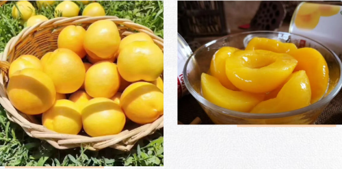 微信图片_2025-11-05_111849_340