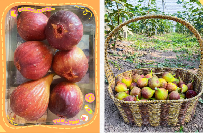 微信图片_2025-11-05_111922_812