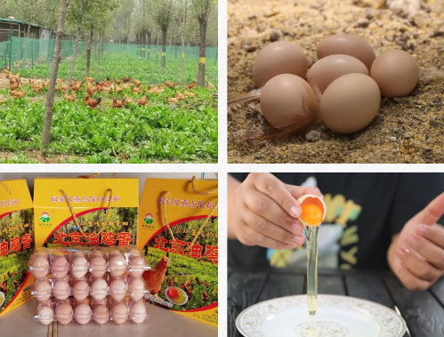 微信图片_2025-11-05_160858_571