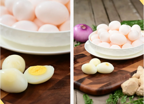 微信图片_2025-11-05_160904_675