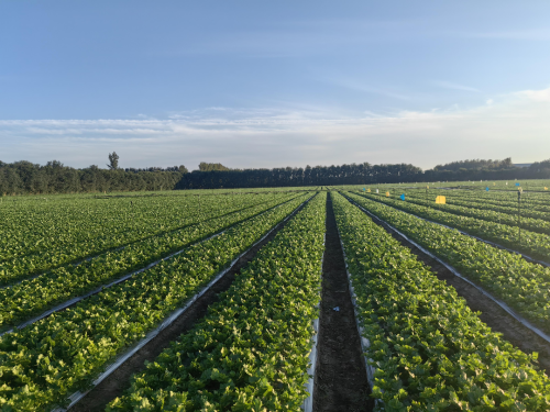 微信图片_2025-11-13_171728_552