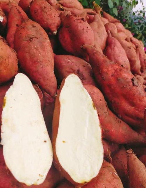 微信图片_2025-11-13_171738_057