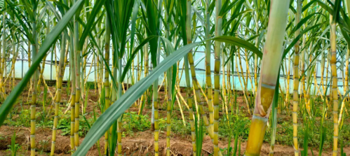 微信图片_2025-11-13_171740_896