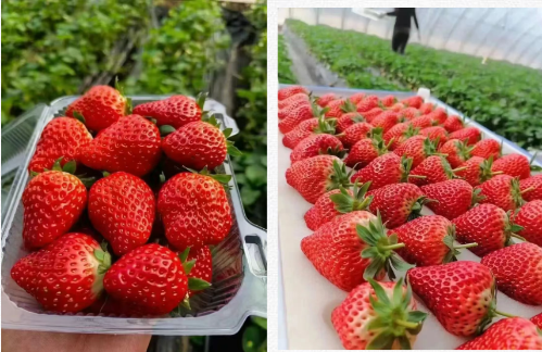 微信图片_2025-12-01_105311_710 微信图片_2025-12-01_105311_710