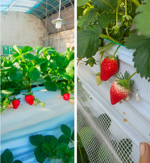 微信图片_2025-12-01_105318_789 微信图片_2025-12-01_105318_789