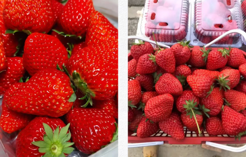 微信图片_2025-12-01_105315_900 微信图片_2025-12-01_105315_900