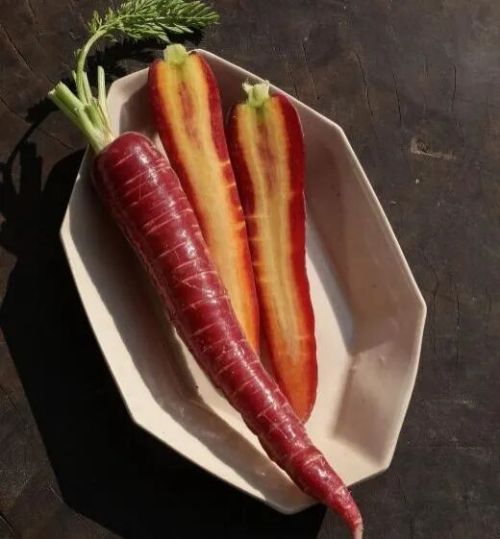 微信图片_2025-12-05_173526_520 微信图片_2025-12-05_173526_520